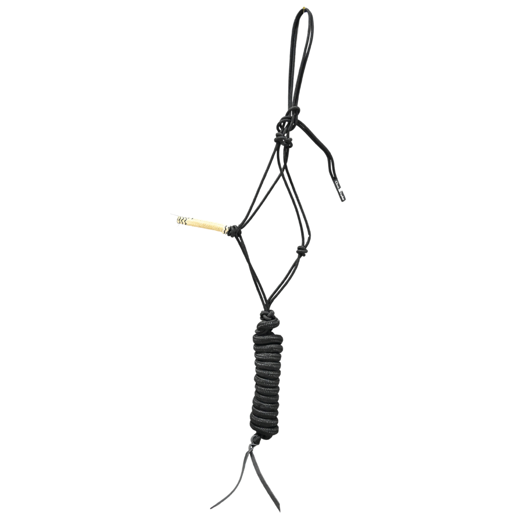 Classic Equine Rawhide Noseband Rope Halter with Lead- Black with Black Inlay
