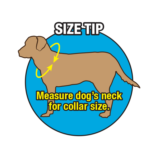 Terrain D.O.G X-Treme Adventure Hunting Ring Dog Collar- Hurricane Blue