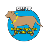 Terrain D.O.G X-Treme Adventure Hunting Ring Dog Collar- Hurricane Blue