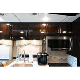 2019 Renegade XL 45' Coach Model X45QB on Freightliner Cascadia Chassis