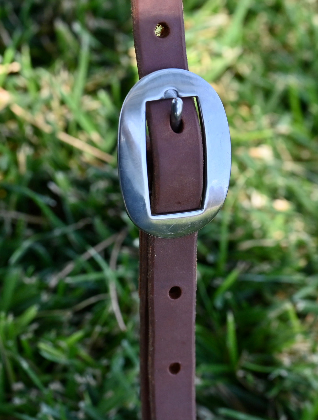 Martin Saddlery 5/8" Harness Leather Split Ear Headstall