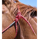 Double Diamond #100 Series Rope Halter- Red with Black & White Tracer
