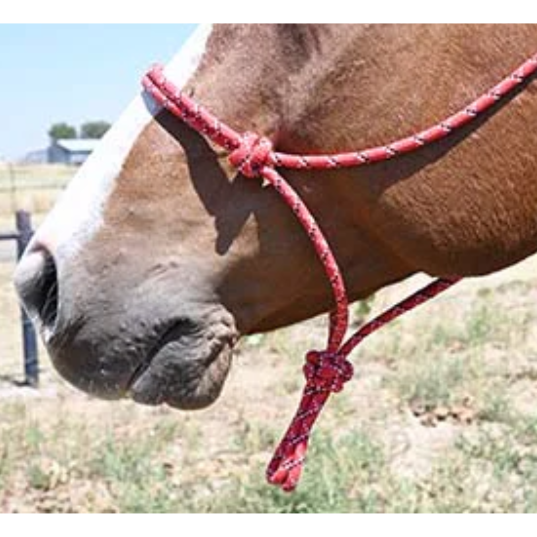 Double Diamond #100 Series Rope Halter- Red with Black & White Tracer