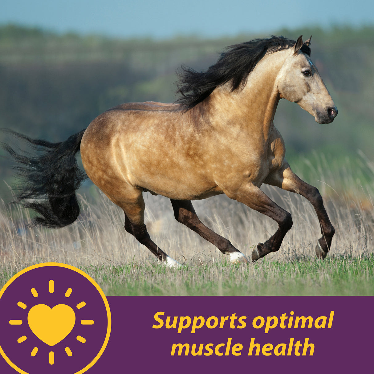 Horse Health Vita-E & Selenium Crumbles- 3lb