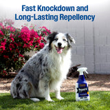 Farnam Repel-X Insecticide & Repellent Fly Spray- 32oz.