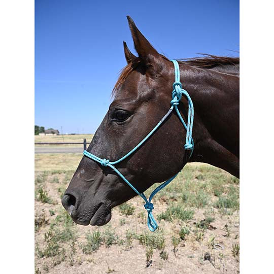 Double Diamond Halter Designed by Buck Brannaman- Turquoise/Red