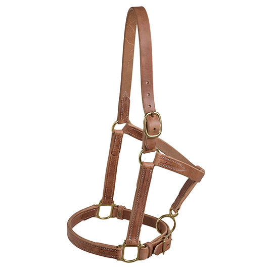 Berlin Custom Leather 1" Harness Leather Halter
