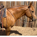 Berlin Custom Leather Heavy Oiled Rolled Leather Romal Reins