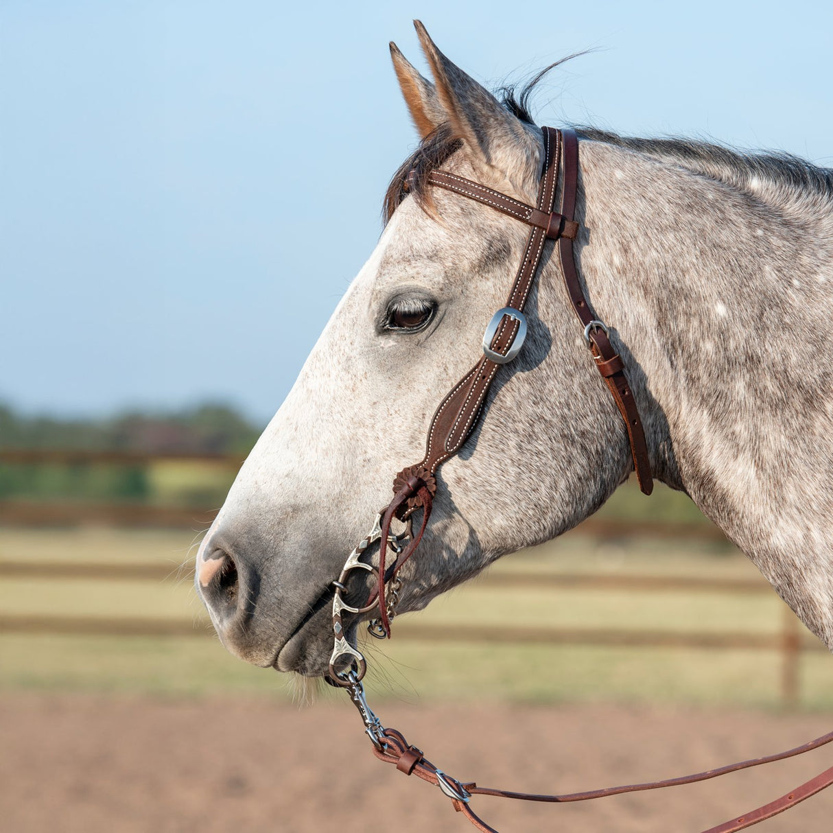 Martin Saddlery Chocolate Roughout Browband Headstall