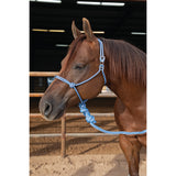 Professional's Choice Easy On Rope Halter with Lead Rope- Turquoise