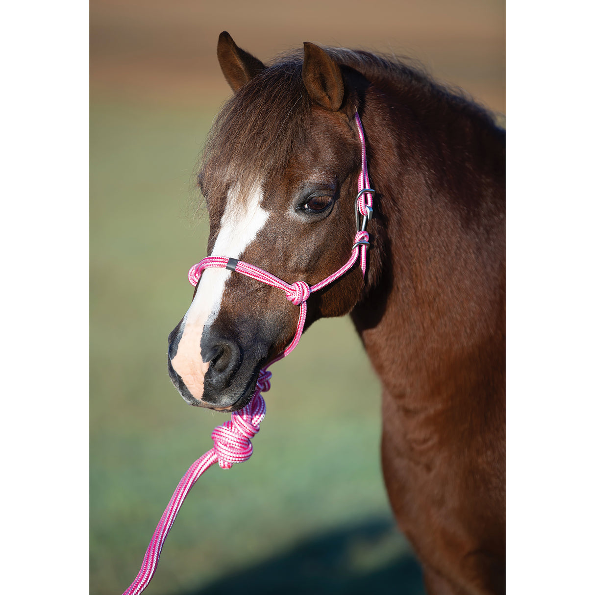 Professional's Choice Easy On Pony Rope Halter with Lead Rope- Pink