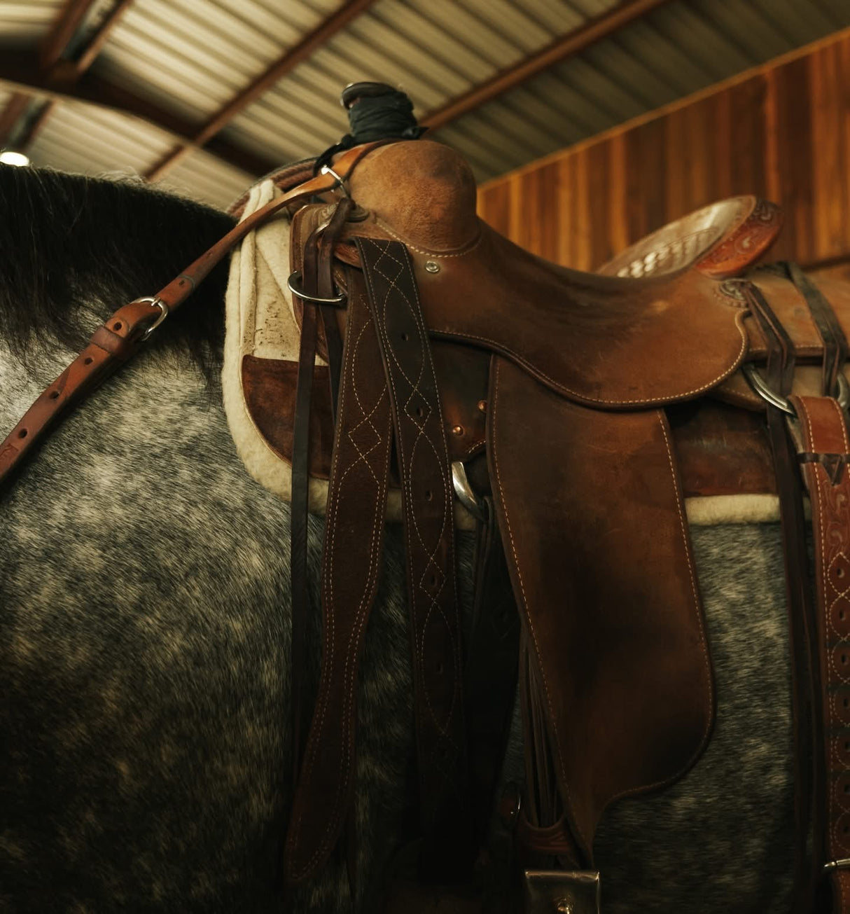 Martin Saddlery Stitched Leather Latigo