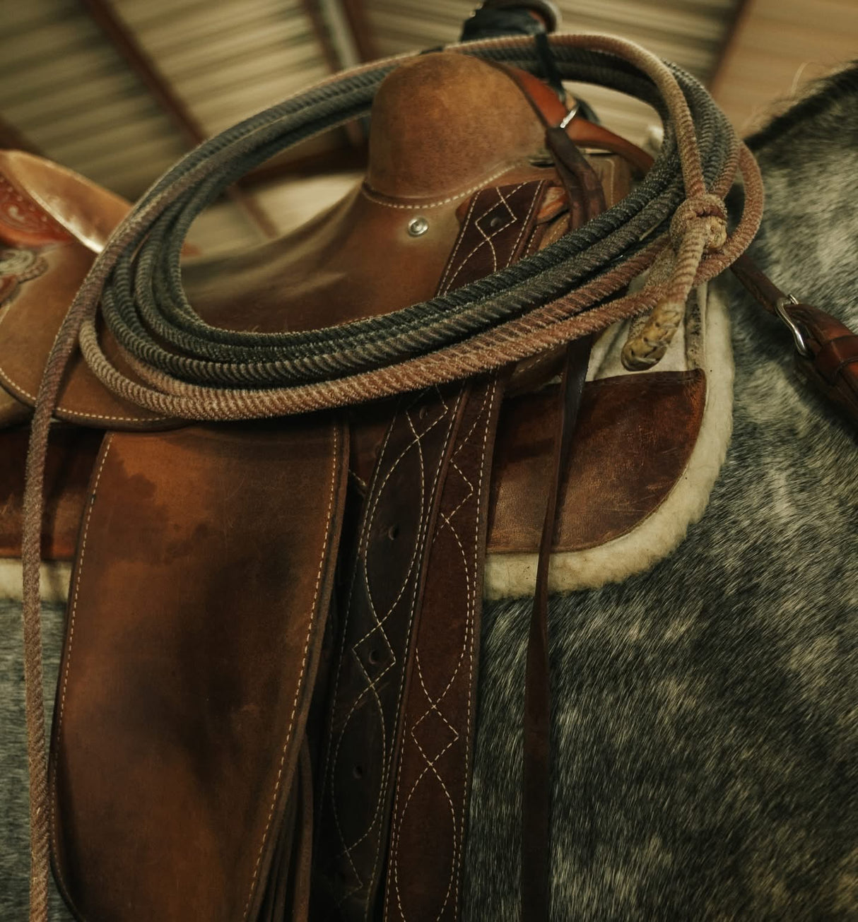 Martin Saddlery Stitched Leather Latigo