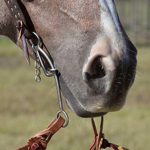 Classic Equine Les Vogt Shank Dog Bone Gag Bit - Thumbnail 4
