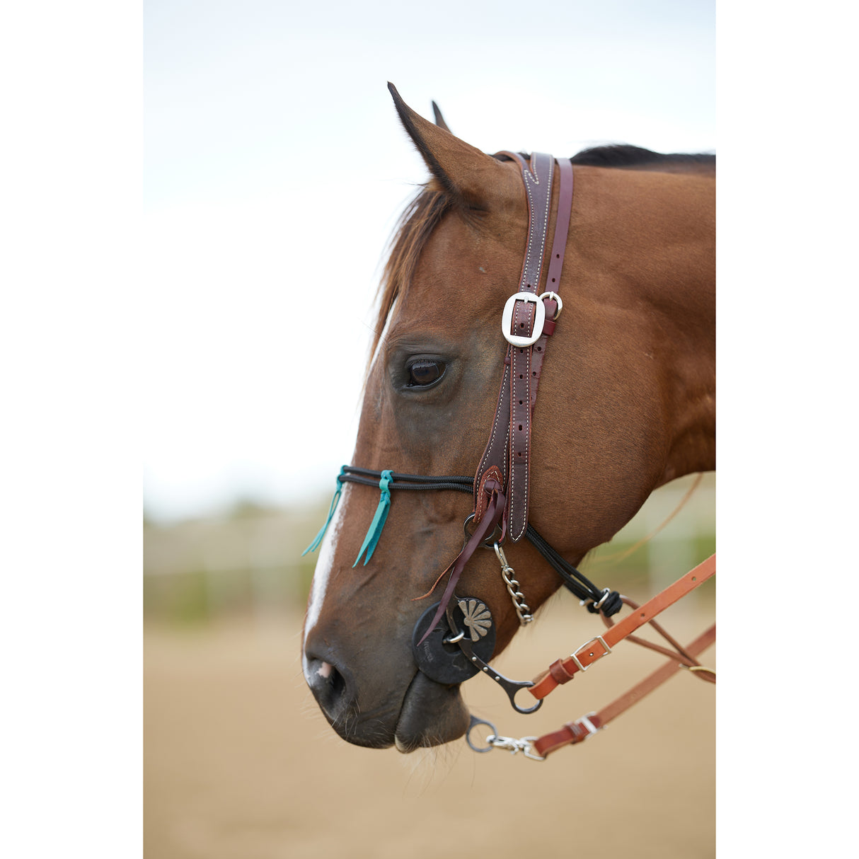 Cowboy Tack Braided Rope Tiedown Noseband with Turquoise Braided Ties