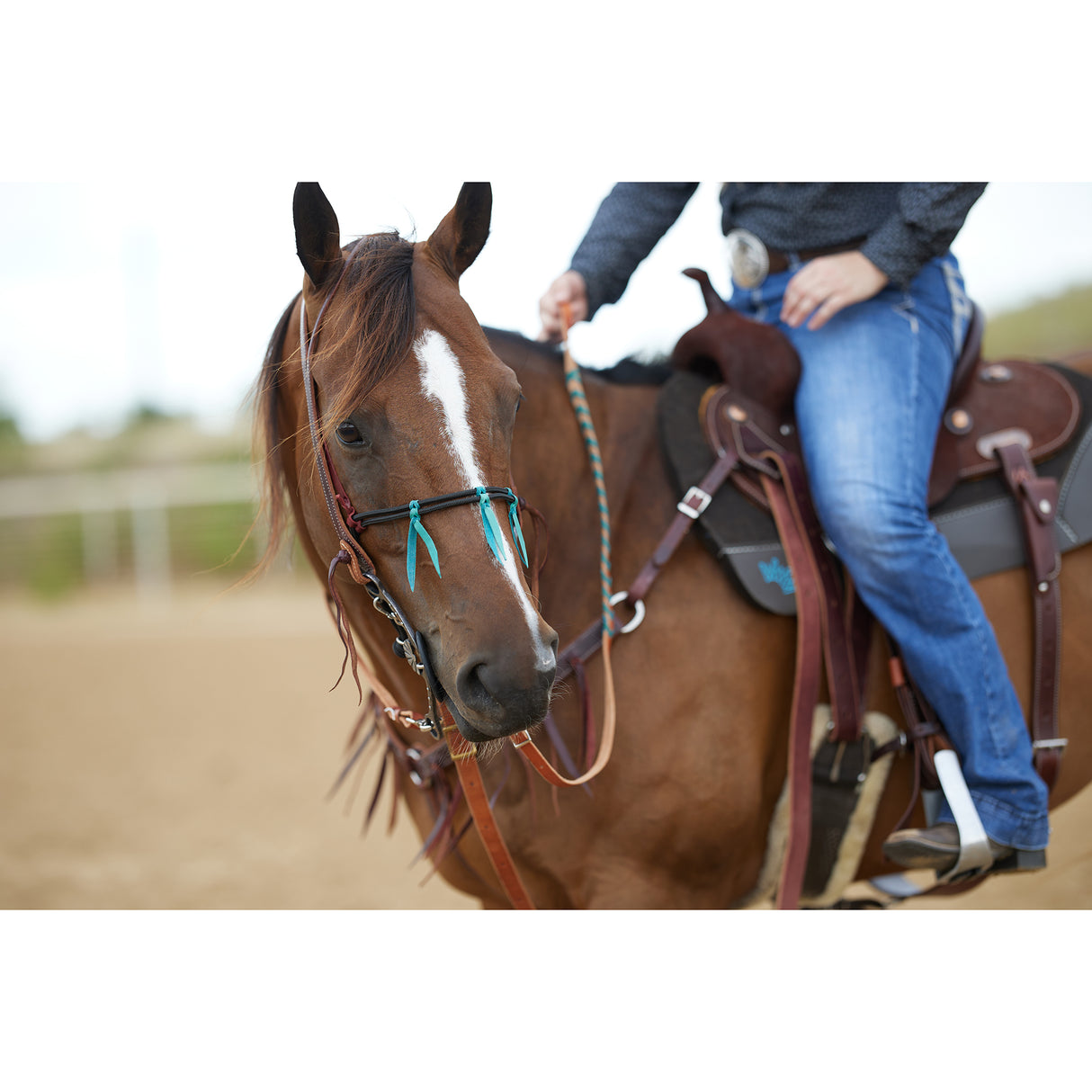 Cowboy Tack Braided Rope Tiedown Noseband with Turquoise Braided Ties