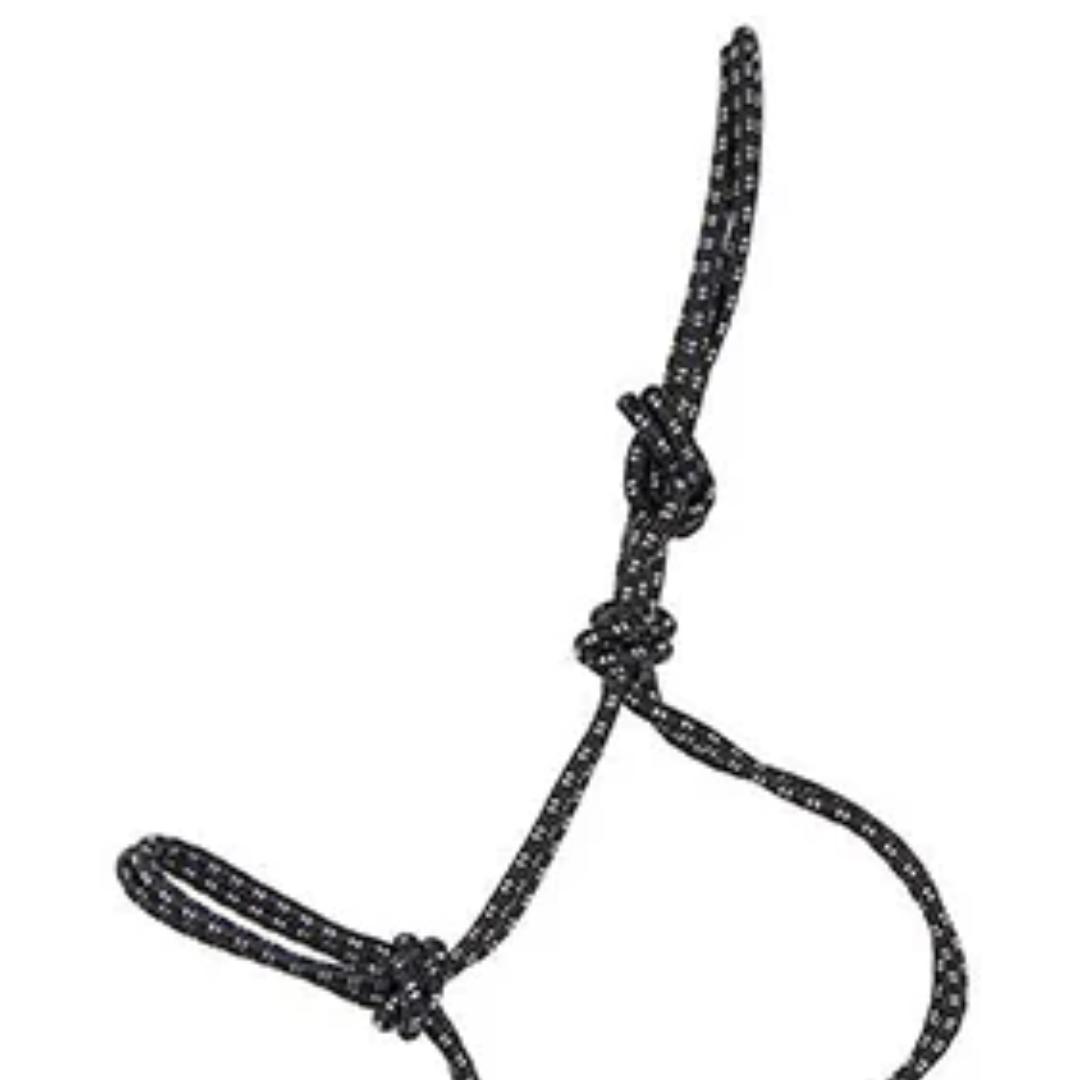 Oxbow Tack Assorted Colors Yearling Sized Rope Halter with Lead