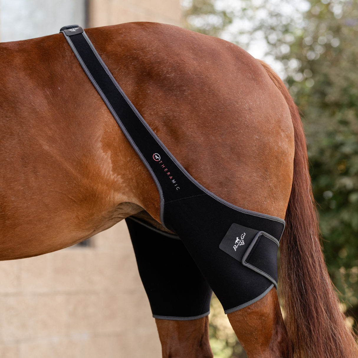 Professional's Choice Theramic Stifle Wrap- Pair