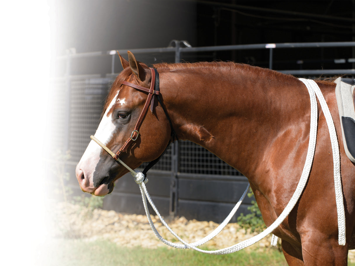 Professional's Choice Rawhide Nose Loping Hackamore