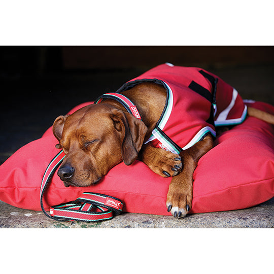 Horseware Amigo Dog Leash- Red/Green/Black