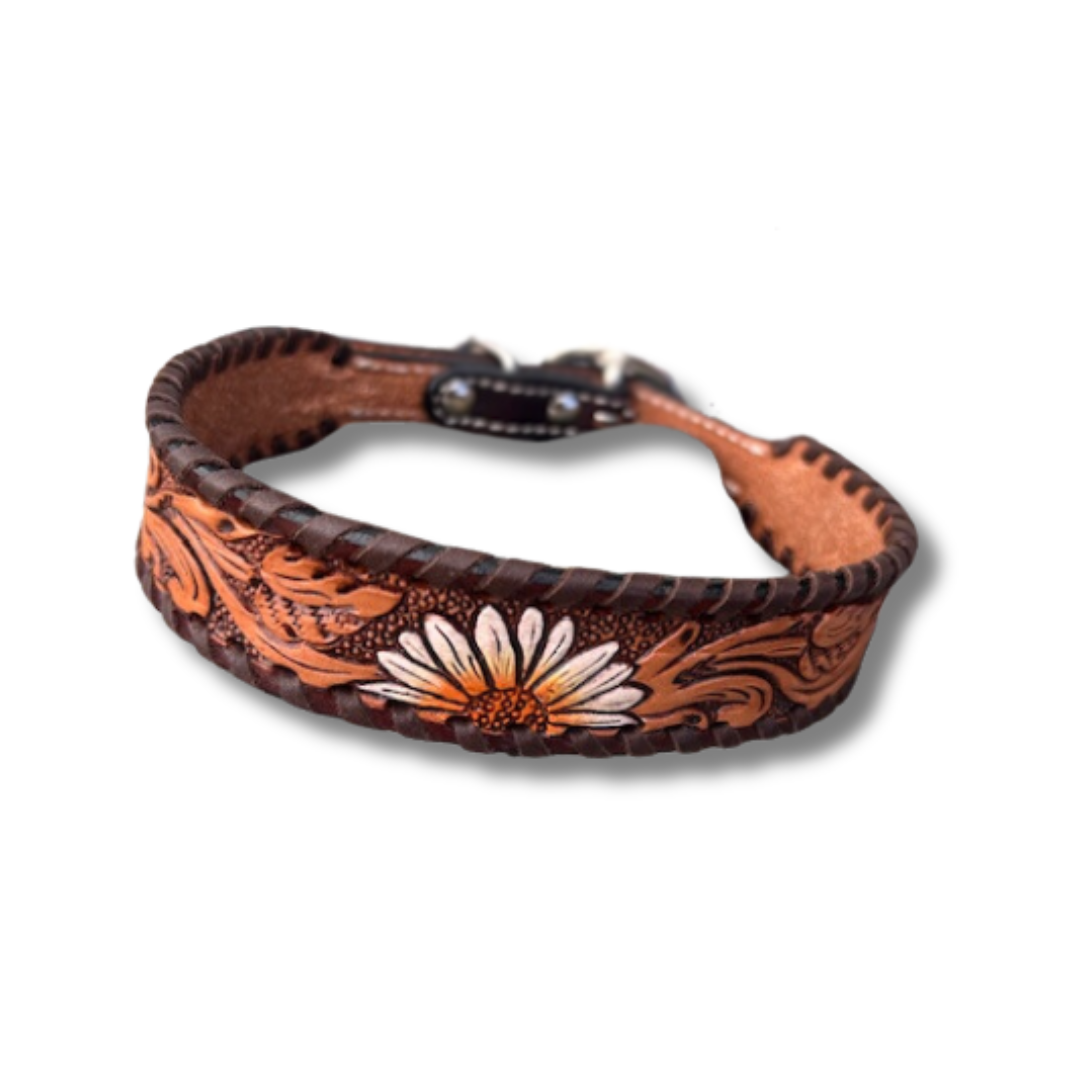 Rafter T Ranch Co. Painted Daisy Dog Collar