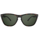 BEX Sunglasses Appy- Tortoise Brown/Forest