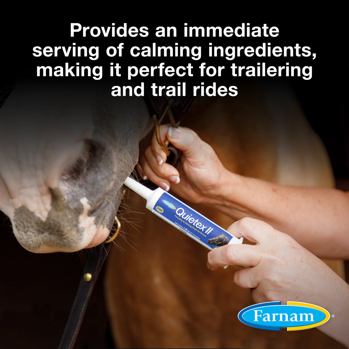 Farnam Quietex II Focusing & Calming Paste for Horses