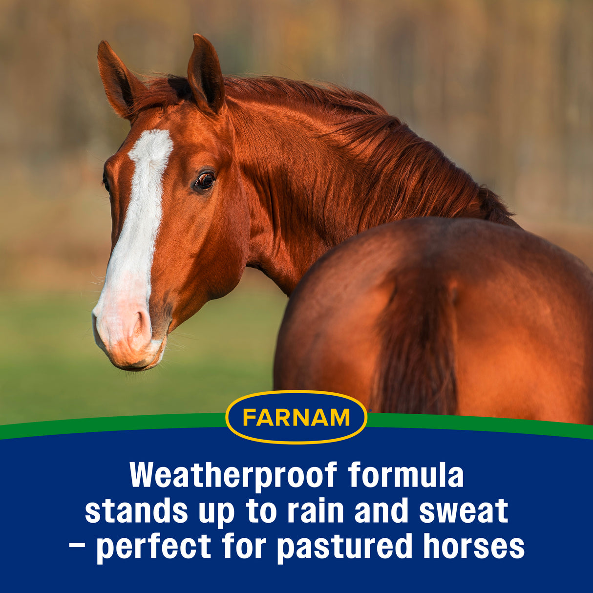Farnam Equi-Spot, Spot on Fly Control- 6 Week Supply