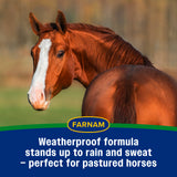 Farnam Equi-Spot, Spot on Fly Control- 6 Week Supply
