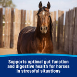 Farnam Gastric Health Pellets- 3.75lb