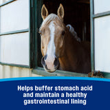 Farnam Gastric Health Pellets- 3.75lb