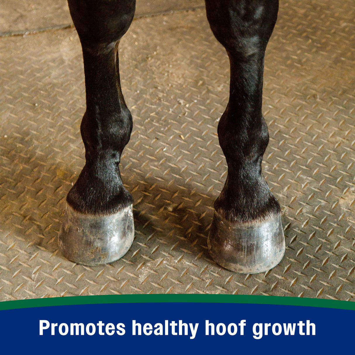 Farnam Horseshoer's Secret Pelleted Hoof Supplement- 11lb