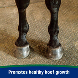 Farnam Horseshoer's Secret Pelleted Hoof Supplement- 11lb