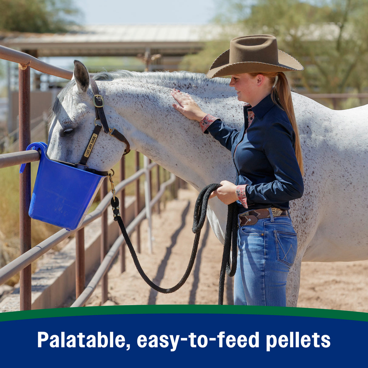 Farnam Horseshoer's Secret Pelleted Hoof Supplement- 11lb