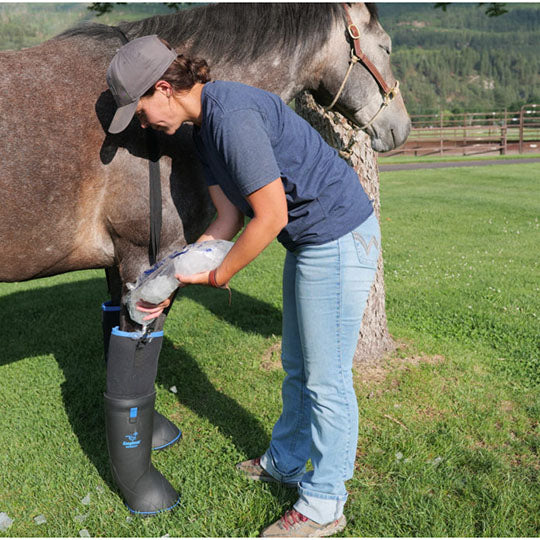 EasyCare Inc. Easyboot Ultimate Remedy Ice Boot
