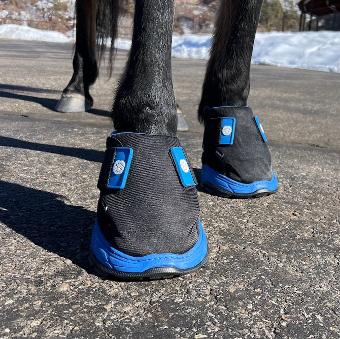 EasyCare Inc. Rx2- Single Boot