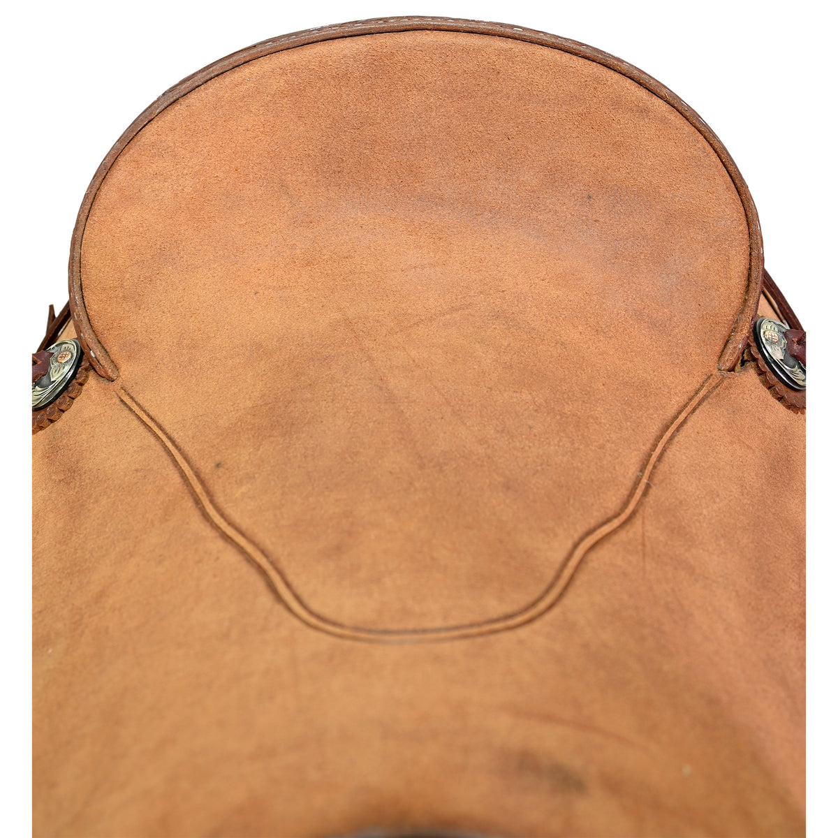 New! 13.5" Cactus Ranch Saddle