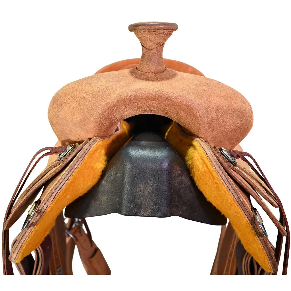 New! 15.5" Cactus Will James Ranch Saddle