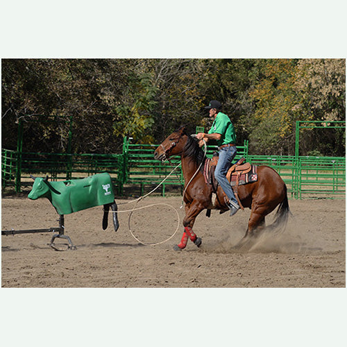 Smarty the Steer Team Roping Dummy