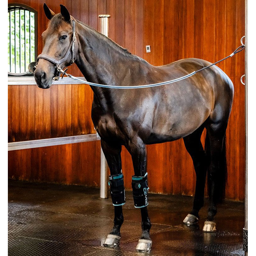 Horseware Ice Vibe Knee Wraps- Full