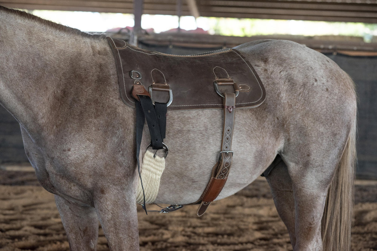 Martin Saddlery Colt Starting Training Pad