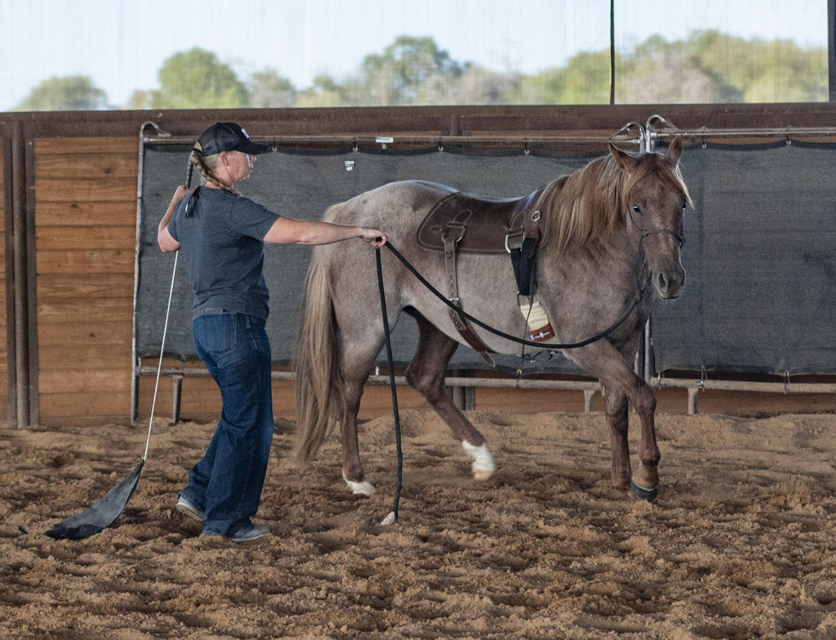 Martin Saddlery Colt Starting Training Pad