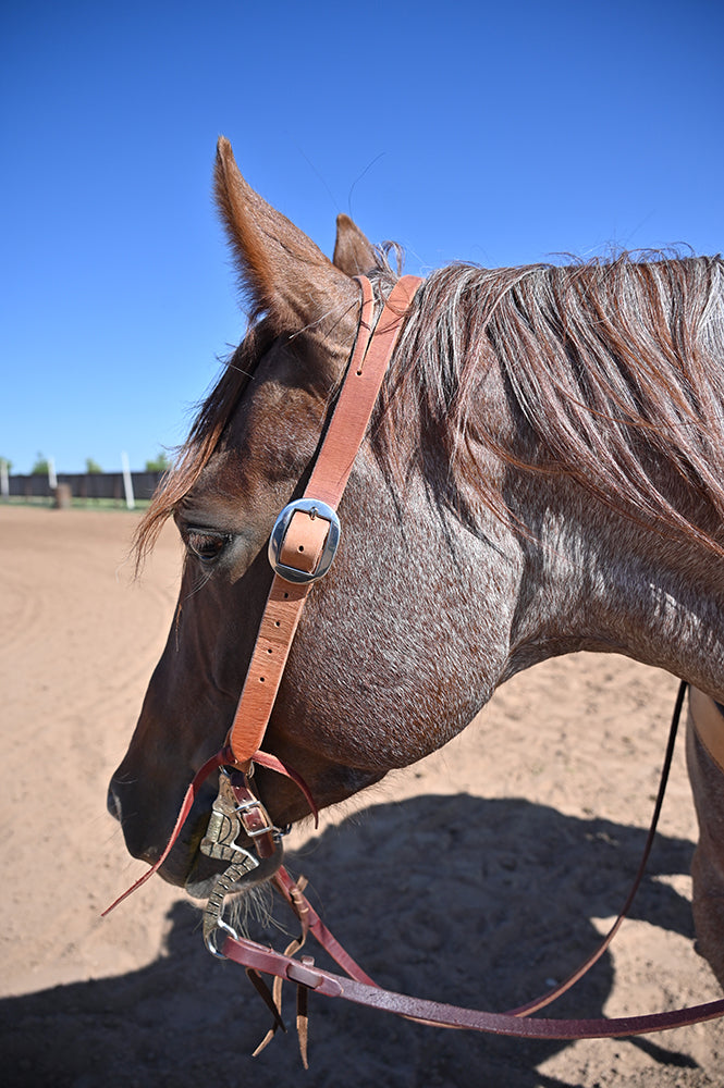 Coolhorse Leather Working Cowboy 1" Split Ear Headstall- Handmade in Amarillo, TX