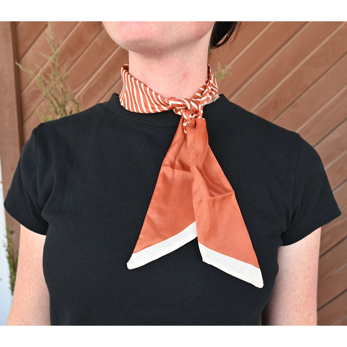 Rodeo Drive Burnt Orange and Cream Stripe Twilly