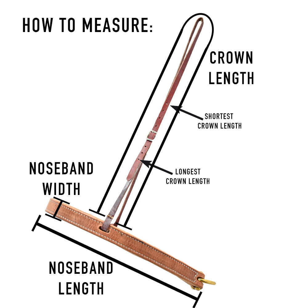 Professional's Choice Floral Tooled Roughout Tiedown Noseband