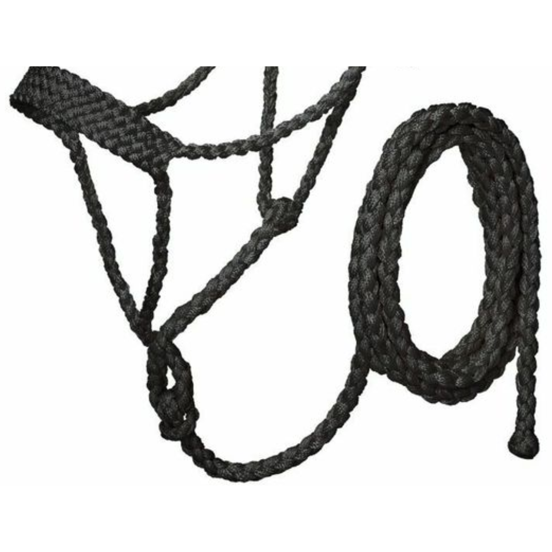 Tough 1 Black Lightweight Mule Tape Halter with 10' Lead Rope