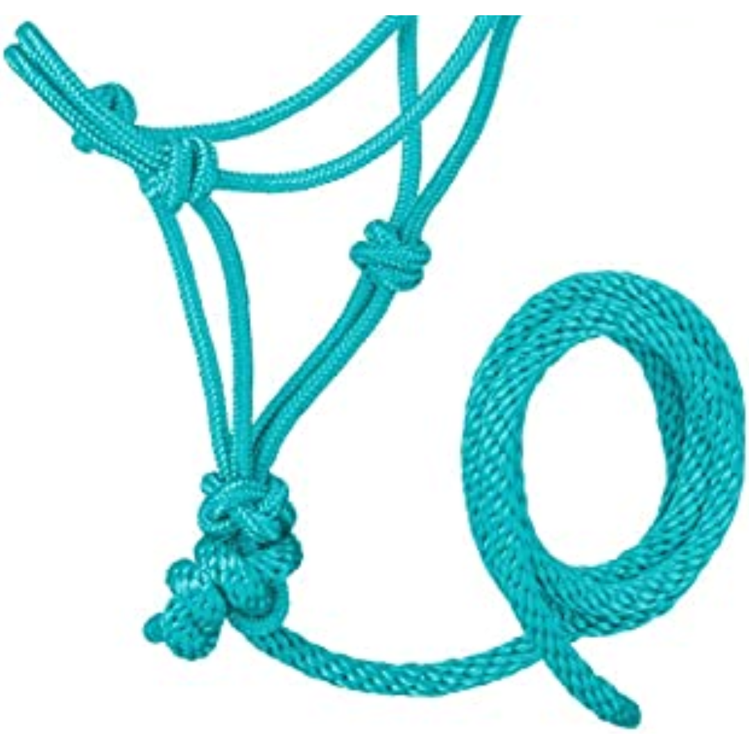 Tough 1 Mini Rope Halter with Lead Rope- Turquoise