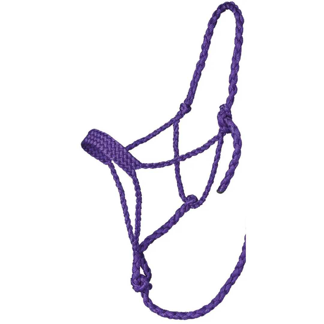 Tough 1 Purple Mule Tape Halter with 10' Lead Rope