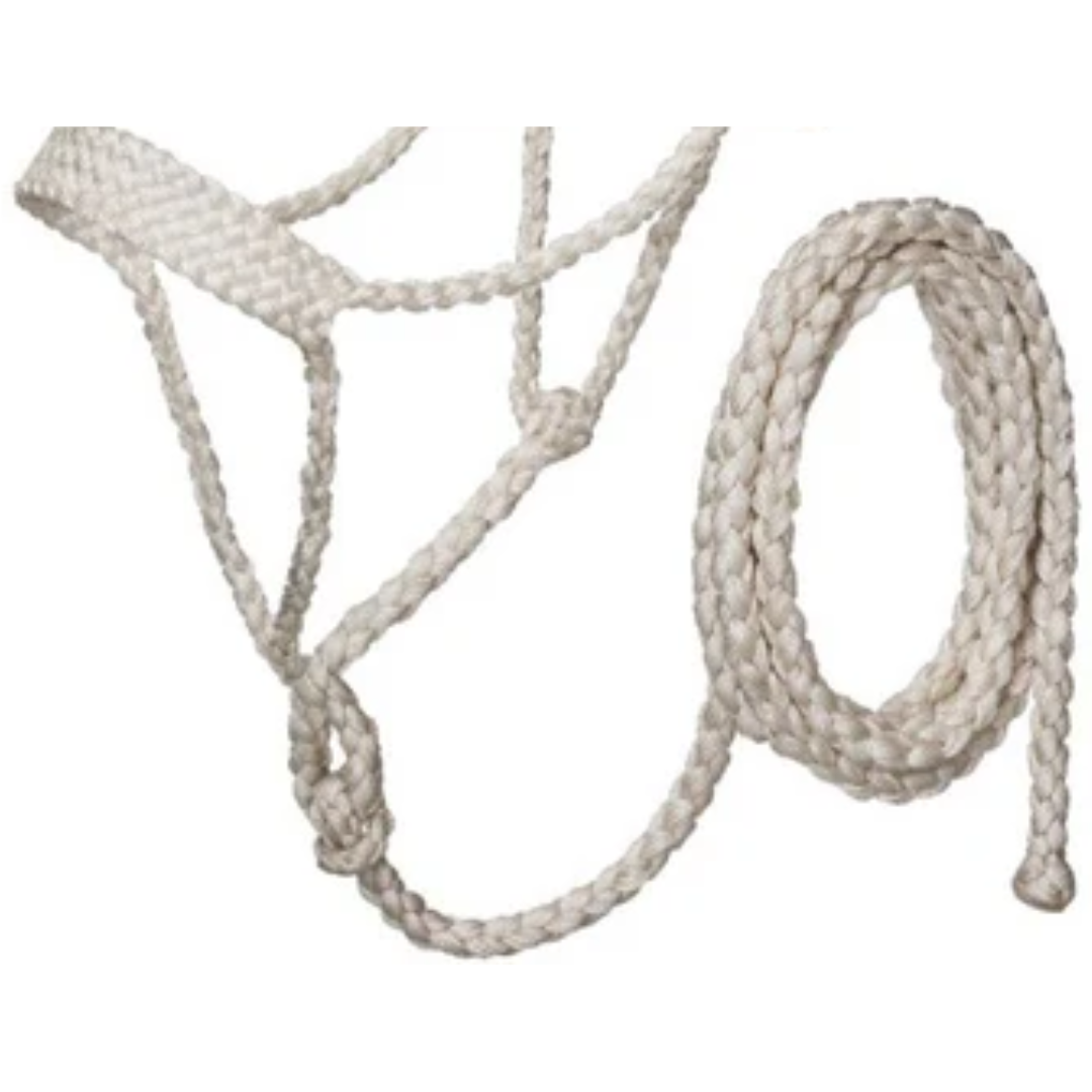 Tough 1 White Lightweight Mule Tape Halter with 10' Lead Rope
