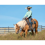 Troxel Helmet Brimmer
